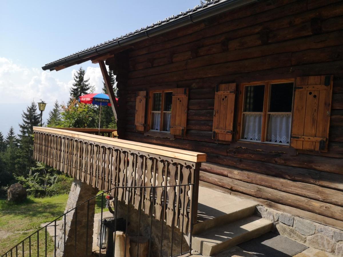 Sankt Stefan im Lavanttal Almhaus Oedlsteinヴィラ エクステリア 写真
