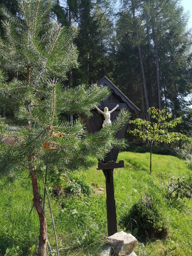 Sankt Stefan im Lavanttal Almhaus Oedlsteinヴィラ エクステリア 写真