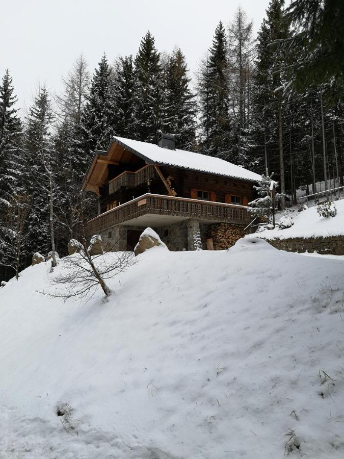 Sankt Stefan im Lavanttal Almhaus Oedlsteinヴィラ エクステリア 写真