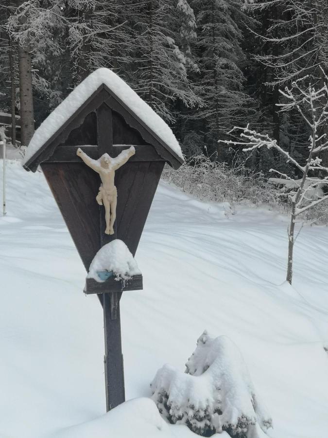 Sankt Stefan im Lavanttal Almhaus Oedlsteinヴィラ エクステリア 写真
