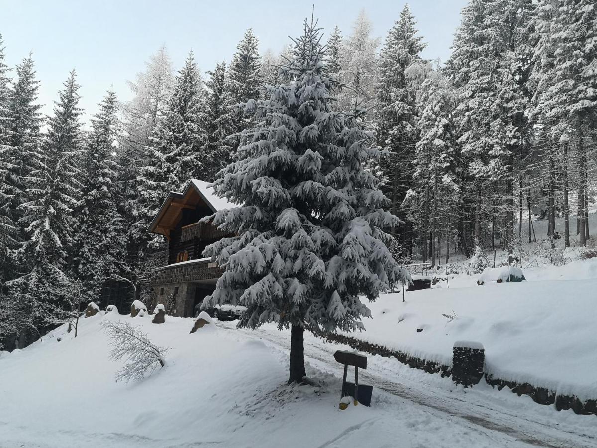 Sankt Stefan im Lavanttal Almhaus Oedlsteinヴィラ エクステリア 写真